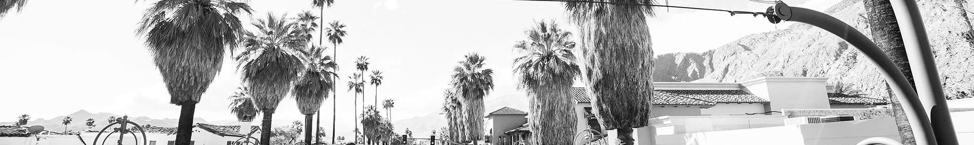 South Palm Canyond Drive à Palm Springs, CA avec des palmiers et Modernism Week banner